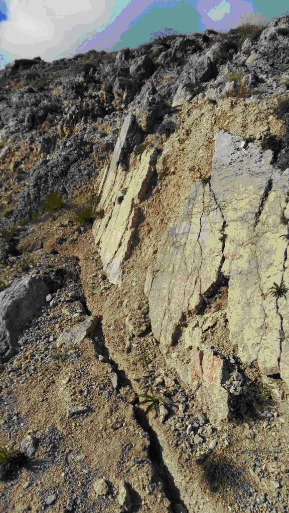 FOTO 1, Frattura cosismica alla base del piano di faglia sul Monte Vettoretto.