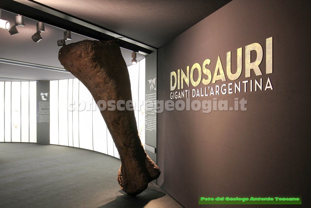 Femore di Argentinosaurus all'Ingresso della Mostra 