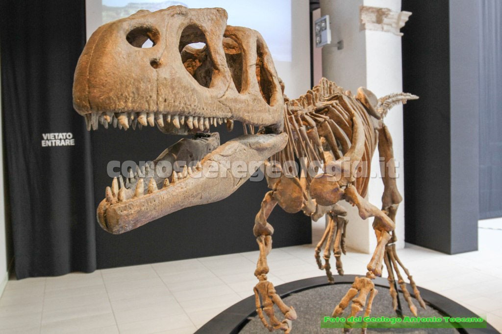 Piatnitzkysaurus floresi, predatore