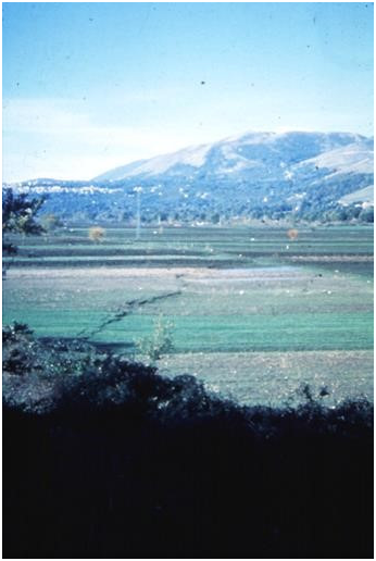 Scarpata di faglia del terremoto dell’Irpinia del 1980 attraverso la Piana di San Gregorio Magno, alla terminazione sud della rottura dove il rigetto verticale era di 20-40 cm.