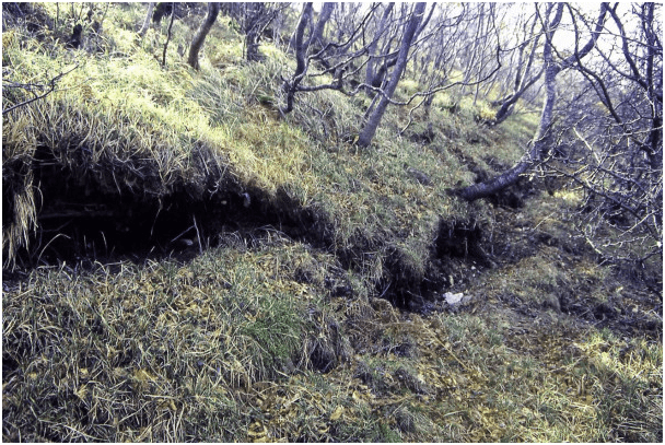Il Terremoto In Irpinia Del 23 Novembre 1980 Conoscere Geologia Il Terremoto In Irpinia Del 23 Novembre 1980 Conoscere Geologia