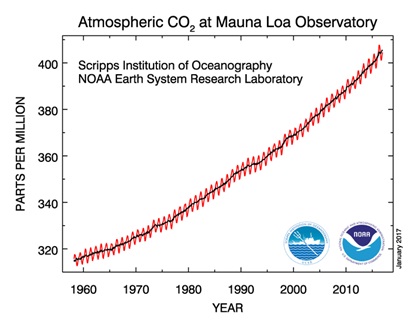 Aumento della concentrazione della CO2 in atmosfera dal 1958 ad oggi, (ScrippsInstitution of Oceanography& NOAA).